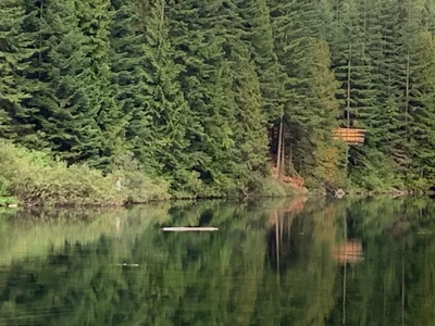 Area E (Balfour/Cottonwood Lake) - Photo 4