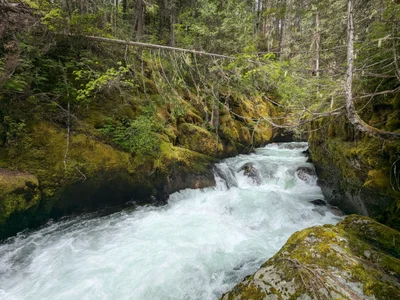 Area F (Kokanee Range) - Photo 4