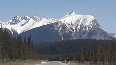 Cranbrook - Photo 5