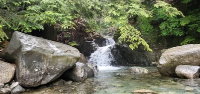Lions Bay - Photo 3