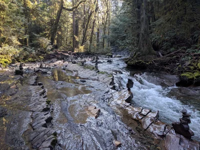 Area F (Alberni Highway) - Photo 2