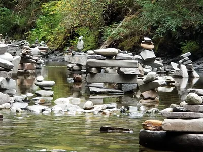 Area F (Alberni Highway) - Photo 4