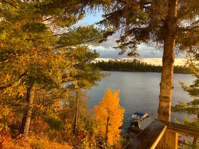 Lake of the Woods Township - Photo 3