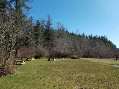 Area D (Sproat Lake) - Photo 5