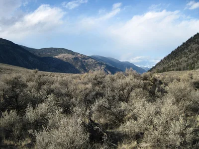 Area G (Upper Similkameen/Hedley) - Photo 3