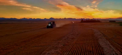 Town of Cardston - Photo 4