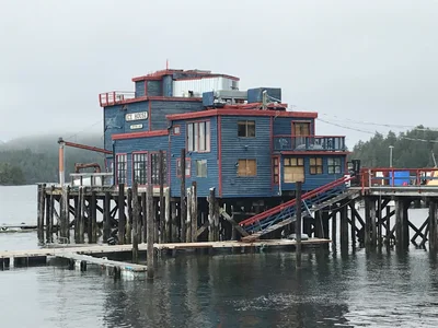 Tofino - Photo 3