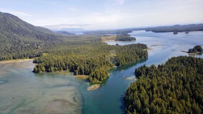 Tofino - Photo 5