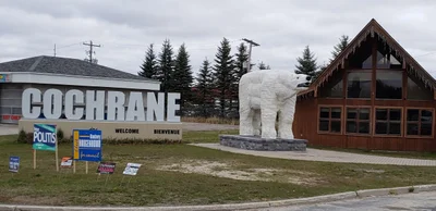 Cochrane - Photo 4