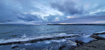 Birch Bay - Photo 4