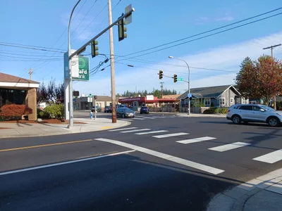 Whatcom County - Photo 2