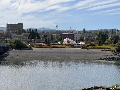 Whatcom County - Photo 4