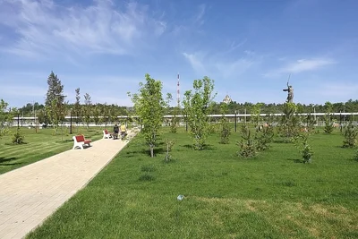Волгоград - Photo 5