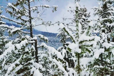 Moyie Springs - Photo 3
