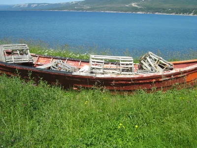 Port au Port West - Aguathuna - Felix Cove - Photo 2