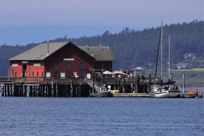 Island County - Photo 4