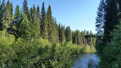 Stevens County - Photo 2