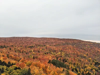 Lutsen Township - Photo 2