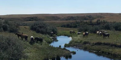 McKenzie County - Photo 2