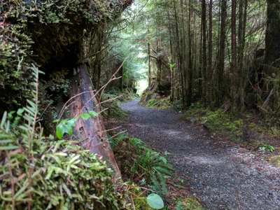 Grays Harbor County - Photo 5
