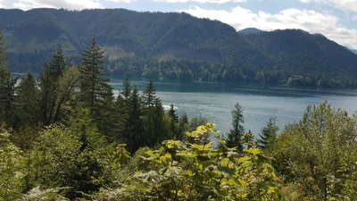 Mason County - Photo 4