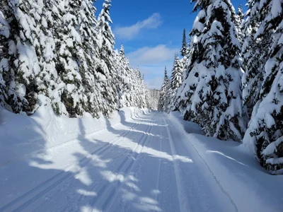 Lac-Jacques-Cartier - Photo 2