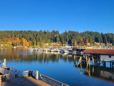 Pierce County - Photo 2