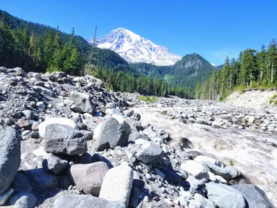 Pierce County - Photo 4