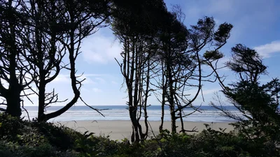 Pacific Beach - Photo 2