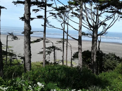Pacific Beach - Photo 4