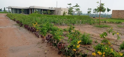 Mahesana - Photo 3