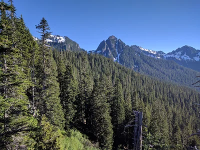 Lewis County - Photo 4