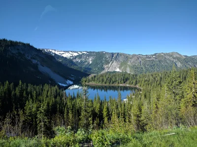 Lewis County - Photo 5