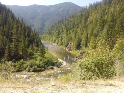 Clearwater County - Photo 3