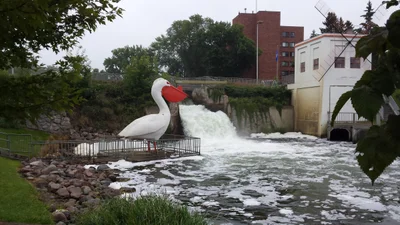 Pelican Rapids - Photo 2