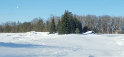 Crosby - Photo 4