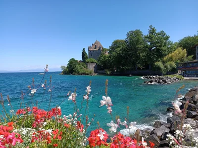 Yvoire - Photo 4