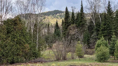 Sainte-Émélie-de-l'Énergie - Photo 4