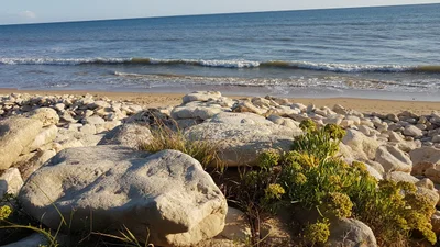 La Tranche-sur-Mer - Photo 3