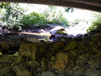 Skamania County - Photo 2