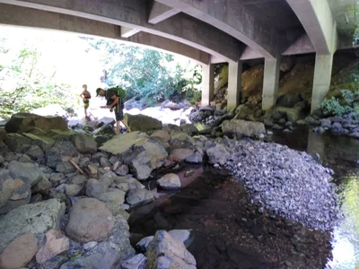 Skamania County - Photo 3