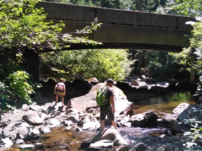 Skamania County - Photo 4