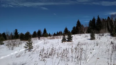 Powassan - Photo 3