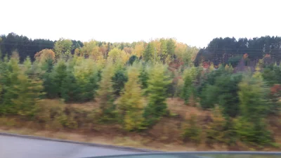 Powassan - Photo 4