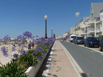 Châtelaillon-Plage - Photo 3