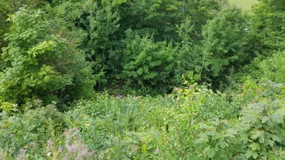 Hendricks Township - Photo 3