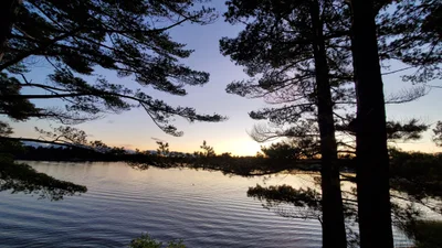 French River - Photo 4
