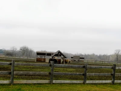 Lavaltrie - Photo 5