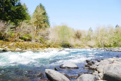 Tillamook County - Photo 2