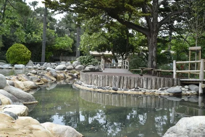 La Palmyre - Photo 5